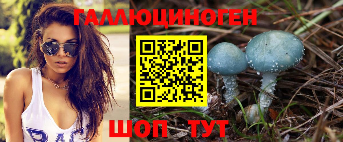 Галлюциногенные грибы Psilocybine cubensis  Вход с VPN  Брянск 