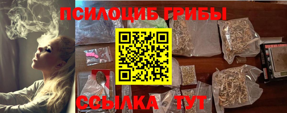 Псилоцибиновые грибы Psilocybe Брянск